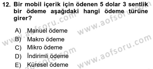 İnternet Ve Mobil Pazarlama Dersi 2025 - 2026 Yılı (Vize) Ara Sınav Soruları 12. Soru
