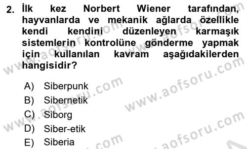 İnternet Ve Mobil Pazarlama Dersi 2025 - 2026 Yılı (Vize) Ara Sınav Soruları 2. Soru