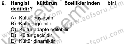 Küresel Pazarlama Dersi 2012 - 2013 Yılı (Vize) Ara Sınav Soruları 6. Soru