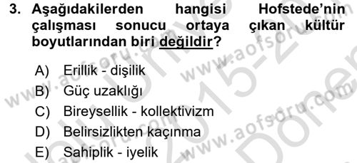 Küresel Pazarlama Dersi 2015 - 2016 Yılı (Final) Dönem Sonu Sınav Soruları 3. Soru