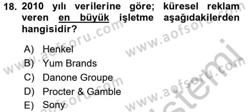 Küresel Pazarlama Dersi 2016 - 2017 Yılı 3 Ders Sınavı 18. Soru