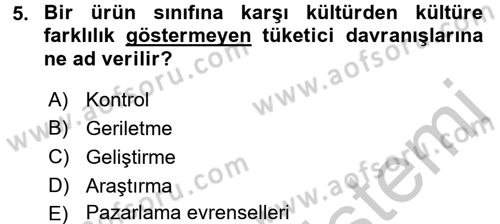 Küresel Pazarlama Dersi 2016 - 2017 Yılı 3 Ders Sınav Soruları 5. Soru