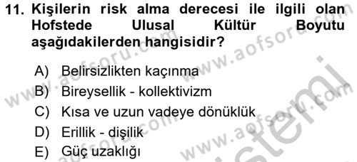 Küresel Pazarlama Dersi 2016 - 2017 Yılı (Vize) Ara Sınav Soruları 11. Soru