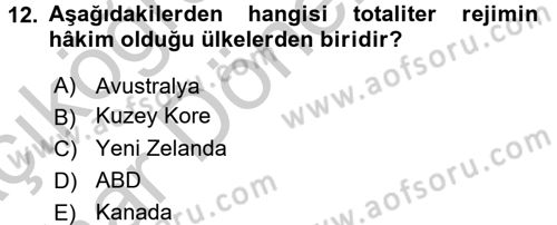 Küresel Pazarlama Dersi 2016 - 2017 Yılı (Vize) Ara Sınav Soruları 12. Soru