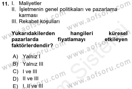 Küresel Pazarlama Dersi 2017 - 2018 Yılı 3 Ders Sınav Soruları 11. Soru