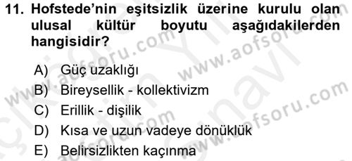 Küresel Pazarlama Dersi 2017 - 2018 Yılı (Vize) Ara Sınavı 11. Soru