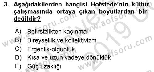 Küresel Pazarlama Dersi 2018 - 2019 Yılı 3 Ders Sınav Soruları 3. Soru