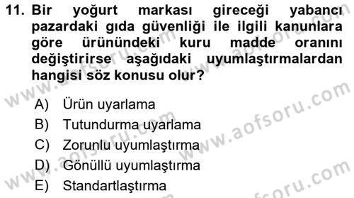 Küresel Pazarlama Dersi 2021 - 2022 Yılı Yaz Okulu Sınav Soruları 11. Soru