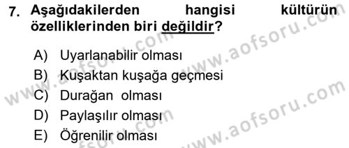 Küresel Pazarlama Dersi 2021 - 2022 Yılı Yaz Okulu Sınav Soruları 7. Soru