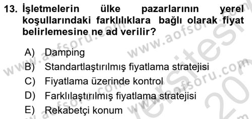 Küresel Pazarlama Dersi 2022 - 2023 Yılı Yaz Okulu Sınav Soruları 13. Soru