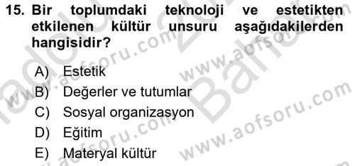 Küresel Pazarlama Dersi 2023 - 2024 Yılı (Vize) Ara Sınavı 15. Soru