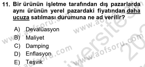 Küresel Pazarlama Dersi 2023 - 2024 Yılı Yaz Okulu Sınav Soruları 11. Soru