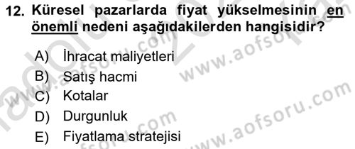Küresel Pazarlama Dersi 2023 - 2024 Yılı Yaz Okulu Sınav Soruları 12. Soru