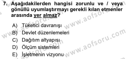 Küresel Pazarlama Dersi 2024 - 2025 Yılı (Final) Dönem Sonu Sınav Soruları 7. Soru