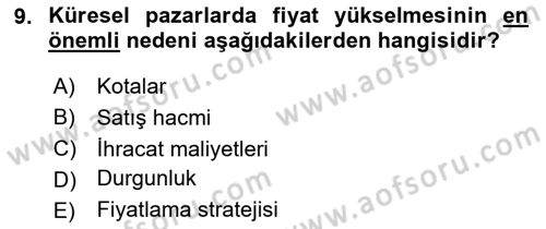 Küresel Pazarlama Dersi 2024 - 2025 Yılı (Final) Dönem Sonu Sınav Soruları 9. Soru