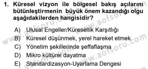 Küresel Pazarlama Dersi 2024 - 2025 Yılı Yaz Okulu Sınav Soruları 1. Soru