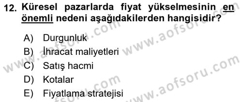 Küresel Pazarlama Dersi 2024 - 2025 Yılı Yaz Okulu Sınav Soruları 12. Soru
