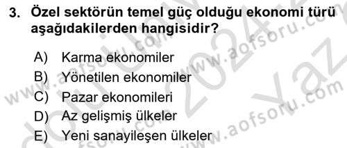 Küresel Pazarlama Dersi 2024 - 2025 Yılı Yaz Okulu Sınav Soruları 3. Soru