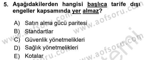 Küresel Pazarlama Dersi 2024 - 2025 Yılı Yaz Okulu Sınav Soruları 5. Soru
