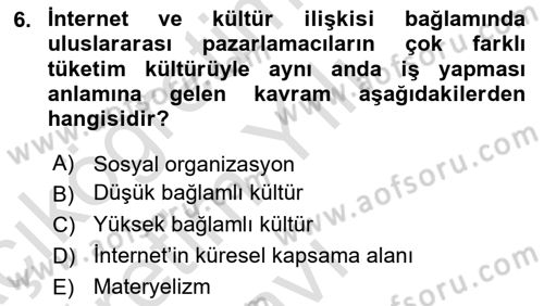 Küresel Pazarlama Dersi 2024 - 2025 Yılı Yaz Okulu Sınav Soruları 6. Soru