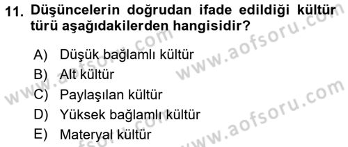 Küresel Pazarlama Dersi 2025 - 2026 Yılı (Vize) Ara Sınav Soruları 11. Soru