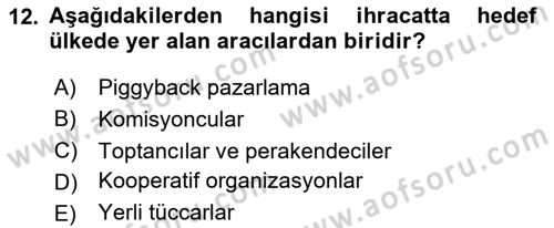 Küresel Pazarlama Dersi 2025 - 2026 Yılı (Vize) Ara Sınav Soruları 12. Soru
