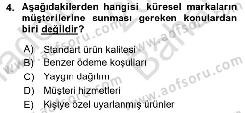 Küresel Pazarlama Dersi 2025 - 2026 Yılı (Vize) Ara Sınav Soruları 4. Soru