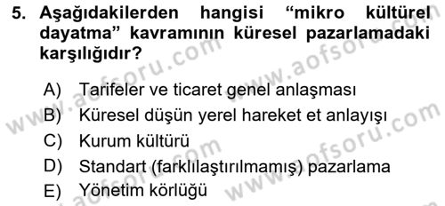 Küresel Pazarlama Dersi 2025 - 2026 Yılı (Vize) Ara Sınav Soruları 5. Soru