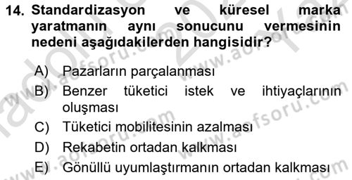 Küresel Pazarlama Dersi 2025 - 2026 Yılı Yaz Okulu Sınav Soruları 14. Soru