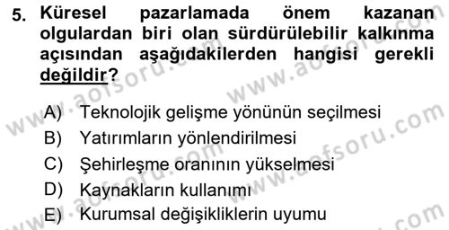 Küresel Pazarlama Dersi 2025 - 2026 Yılı Yaz Okulu Sınav Soruları 5. Soru