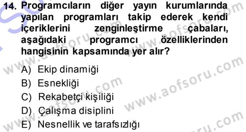 Radyo ve Televizyon Programcılığının Temel Kavramları Dersi 2013 - 2014 Yılı (Final) Dönem Sonu Sınavı 14. Soru