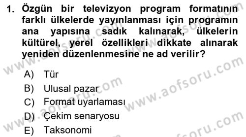 Radyo ve Televizyon Programcılığının Temel Kavramları Dersi 2022 - 2023 Yılı Yaz Okulu Sınav Soruları 1. Soru