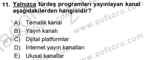 Radyo ve Televizyon Programcılığının Temel Kavramları Dersi 2024 - 2025 Yılı (Vize) Ara Sınav Soruları 11. Soru