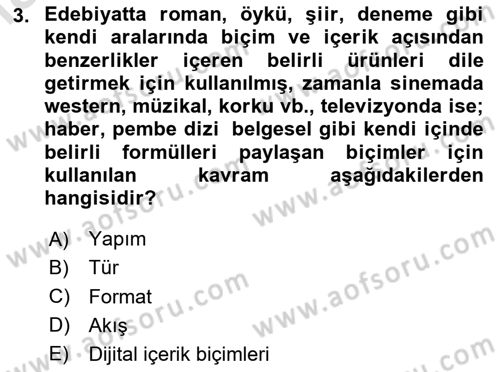 Radyo ve Televizyon Programcılığının Temel Kavramları Dersi 2024 - 2025 Yılı (Vize) Ara Sınav Soruları 3. Soru