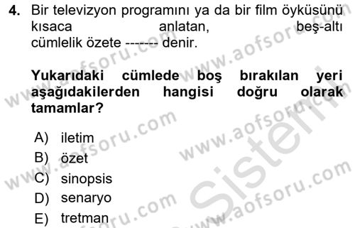 Radyo ve Televizyon Programcılığının Temel Kavramları Dersi 2024 - 2025 Yılı (Vize) Ara Sınav Soruları 4. Soru