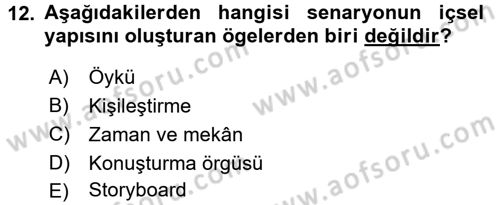 Radyo ve Televizyonda Program Yapımı Dersi 2016 - 2017 Yılı 3 Ders Sınavı 12. Soru