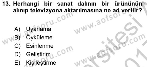 Radyo ve Televizyonda Program Yapımı Dersi 2016 - 2017 Yılı 3 Ders Sınavı 13. Soru