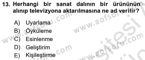 Radyo ve Televizyonda Program Yapımı Dersi 2018 - 2019 Yılı 3 Ders Sınav Soruları 13. Soru