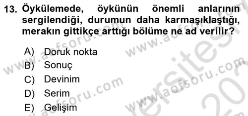 Radyo ve Televizyonda Program Yapımı Dersi 2022 - 2023 Yılı Yaz Okulu Sınav Soruları 13. Soru