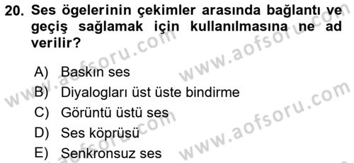 Radyo ve Televizyonda Program Yapımı Dersi 2022 - 2023 Yılı Yaz Okulu Sınav Soruları 20. Soru
