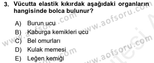 Temel İlk Yardım Bilgisi Dersi 2017 - 2018 Yılı 3 Ders Sınavı 3. Soru