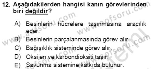 Temel İlk Yardım Bilgisi Dersi 2021 - 2022 Yılı (Vize) Ara Sınavı 12. Soru