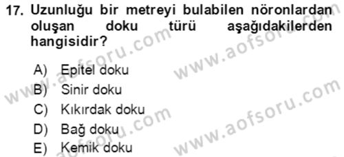 Temel İlk Yardım Bilgisi Dersi 2021 - 2022 Yılı (Vize) Ara Sınavı 17. Soru