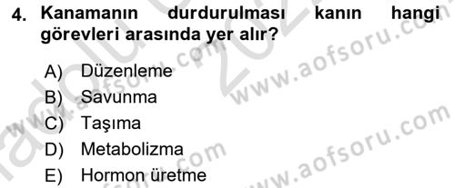 Temel İlk Yardım Bilgisi Dersi 2022 - 2023 Yılı (Vize) Ara Sınavı 4. Soru