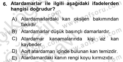 Temel İlk Yardım Bilgisi Dersi 2022 - 2023 Yılı Yaz Okulu Sınavı 6. Soru