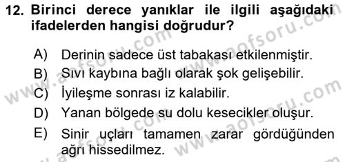 Temel İlk Yardım Bilgisi Dersi 2023 - 2024 Yılı Yaz Okulu Sınavı 12. Soru