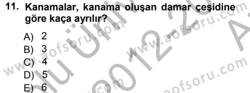 Temel İlkyardım Bilgisi Dersi 2012 - 2013 Yılı (Vize) Ara Sınav Soruları 11. Soru