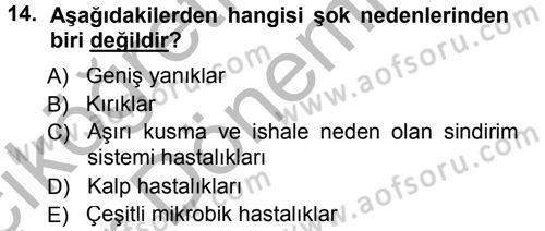 Temel İlkyardım Bilgisi Dersi Ara Sınavı Deneme Sınav Soruları 14. Soru