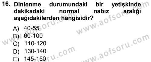 Temel İlkyardım Bilgisi Dersi Ara Sınavı Deneme Sınav Soruları 16. Soru