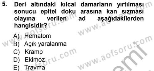Temel İlkyardım Bilgisi Dersi Ara Sınavı Deneme Sınav Soruları 5. Soru